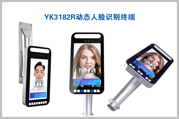 定制电话：010-82539784