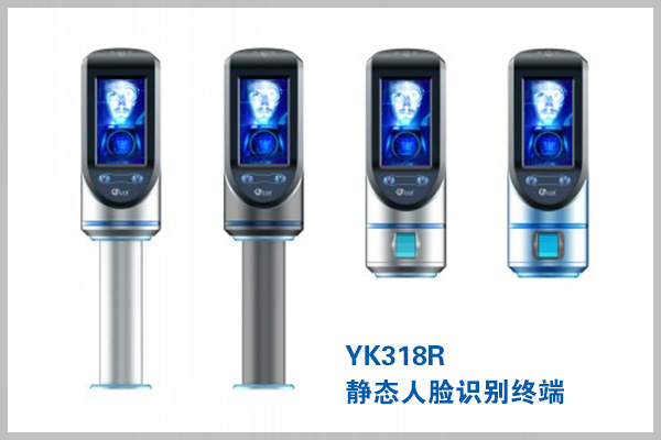 定制电话：010-82539784