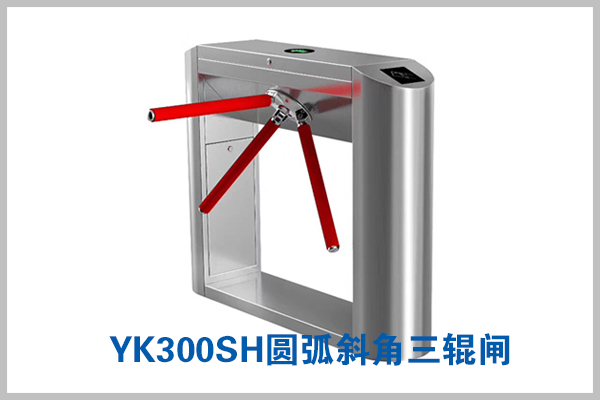 定制电话：010-82539784